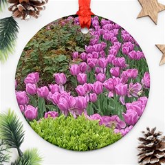 Late April Purple Tulip Ornament (round) by Riverwoman