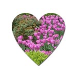 Late April Purple Tulip Heart Magnet Front