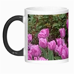 Late April Purple Tulip Morph Mugs by Riverwoman