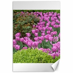 Late April Purple Tulip Canvas 24  X 36  by Riverwoman