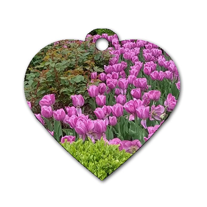 Late April Purple Tulip Dog Tag Heart (One Side)