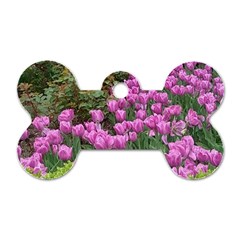 Late April Purple Tulip Dog Tag Bone (one Side) by Riverwoman