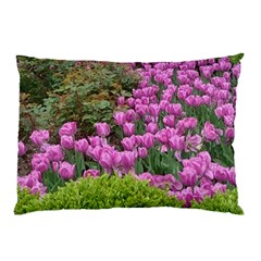 Late April Purple Tulip Pillow Case by Riverwoman