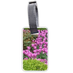 Late April Purple Tulip Luggage Tag (one Side) by Riverwoman