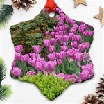 Late April Purple Tulip Ornament (Snowflake) Front