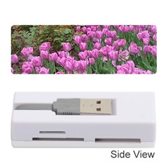 Late April Purple Tulip Memory Card Reader (stick) by Riverwoman