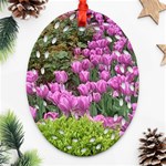 Late April Purple Tulip Ornament (Oval Filigree) Front