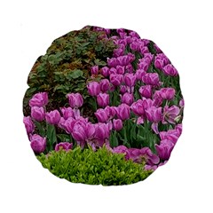 Late April Purple Tulip Standard 15  Premium Round Cushions by Riverwoman