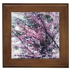 Ohio Redbud Framed Tiles