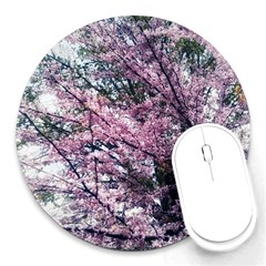 Ohio Redbud Round Mousepads