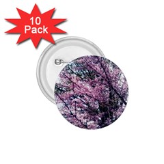 Ohio Redbud 1.75  Buttons (10 pack)