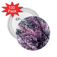 Ohio Redbud 2.25  Buttons (100 pack) 