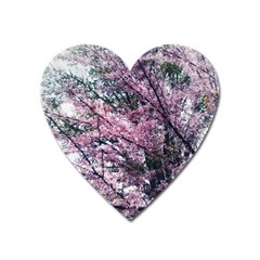 Ohio Redbud Heart Magnet