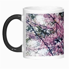 Ohio Redbud Morph Mugs by Riverwoman