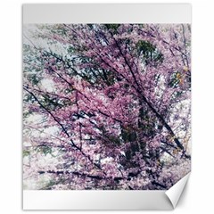 Ohio Redbud Canvas 16  X 20  by Riverwoman