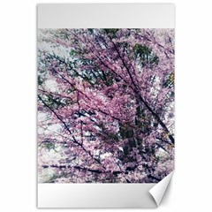 Ohio Redbud Canvas 24  X 36  by Riverwoman