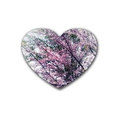 Ohio Redbud Heart Coaster (4 pack) 