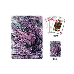 Ohio Redbud Playing Cards Single Design (mini) by Riverwoman