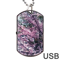 Ohio Redbud Dog Tag Usb Flash (two Sides) by Riverwoman