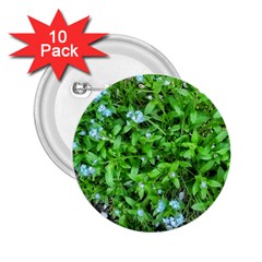 Forget Me Not 2 25  Buttons (10 Pack) 