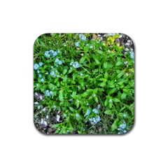 Forget Me Not Rubber Coaster (square)  by Riverwoman