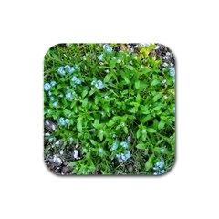 Forget Me Not Rubber Square Coaster (4 Pack)  by Riverwoman