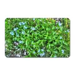 Forget Me Not Magnet (rectangular) by Riverwoman