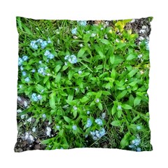 Forget Me Not Standard Cushion Case (one Side)