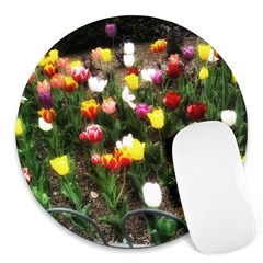 Tulips  Round Mousepads by Riverwoman