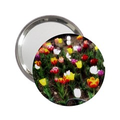 Tulips  2 25  Handbag Mirrors by Riverwoman