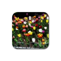 Tulips  Rubber Coaster (square)  by Riverwoman