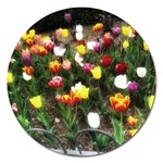 Tulips  Magnet 5  (Round) Front