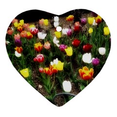 Tulips  Heart Ornament (two Sides) by Riverwoman