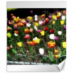 Tulips  Canvas 8  X 10  by Riverwoman