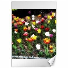 Tulips  Canvas 12  X 18  by Riverwoman