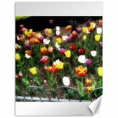 Tulips  Canvas 18  X 24  by Riverwoman