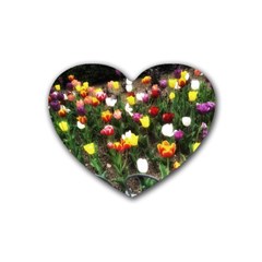 Tulips  Rubber Coaster (heart)  by Riverwoman