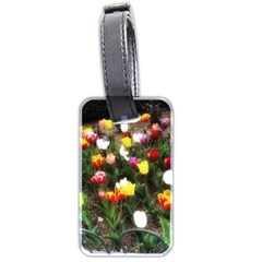 Tulips  Luggage Tag (two Sides) by Riverwoman