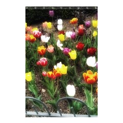 Tulips  Shower Curtain 48  X 72  (small)  by Riverwoman