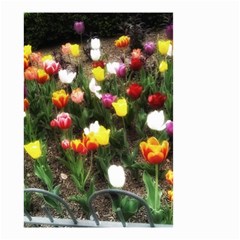 Tulips  Small Garden Flag (two Sides) by Riverwoman