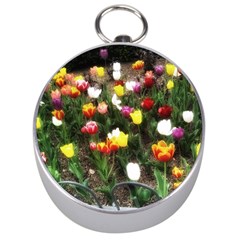 Tulips  Silver Compasses by Riverwoman