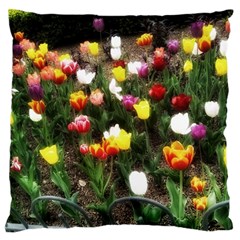 Tulips  Large Flano Cushion Case (two Sides) by Riverwoman