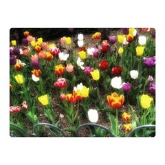 Tulips  Double Sided Flano Blanket (mini)  by Riverwoman