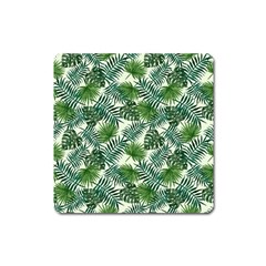 Leaves Tropical Wallpaper Foliage Square Magnet