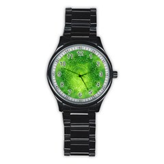 Pagan Mandala Seamless Tileable Green Stainless Steel Round Watch by Pakrebo