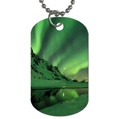 Snow Winter White Cold Weather Green Aurora Dog Tag (two Sides) by Pakrebo