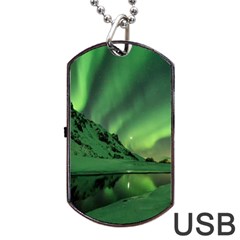 Snow Winter White Cold Weather Green Aurora Dog Tag Usb Flash (one Side) by Pakrebo