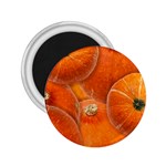 Pumpkin Halloween Fall Thanksgiving 2.25  Magnets Front