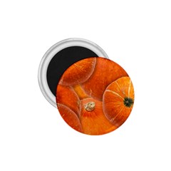 Pumpkin Halloween Fall Thanksgiving 1 75  Magnets by Pakrebo