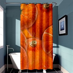 Pumpkin Halloween Fall Thanksgiving Shower Curtain 36  X 72  (stall)  by Pakrebo